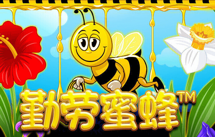 ak体育官网下载APP